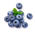 Blueberries with leaves Royalty Free Stock Photo