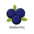 Blueberries with leaves. Three berries. Fruit, berry icon. Flat design. Color vector illustration isolated on a white