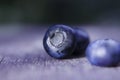 Blueberries Royalty Free Stock Photo