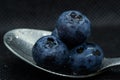 Blueberries Macro closeup photo of superimposed on top of each other and tiled in a teaspoon on a dark background glistening in