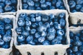 Blueberries market display