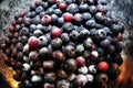 Blueberries in metal bowl