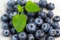 Blueberries and mint leaves close up Royalty Free Stock Photo