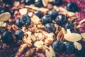Blueberries and Nuts Oatmeal Royalty Free Stock Photo