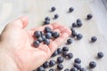 Blueberries in the open palm of a person and scattered on a table Royalty Free Stock Photo