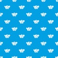 Blueberries pattern seamless blue