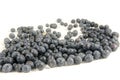 Sweet fresh blueberry`s look at something Royalty Free Stock Photo