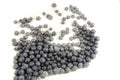 Have you seen a lot of fresh sweet blueberry`s Royalty Free Stock Photo