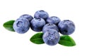 Blueberries pile of fresh blueberry isolated with clipping path Royalty Free Stock Photo