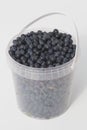 Blueberries in a plastic container Royalty Free Stock Photo