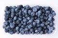 Blueberries in a plastic container isolated on a white background Royalty Free Stock Photo