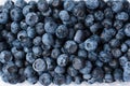 Blueberries in a plastic container isolated on a white background Royalty Free Stock Photo