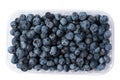 Blueberries in a plastic container isolated on a white background Royalty Free Stock Photo