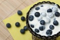 Blueberries in pure yogurt Royalty Free Stock Photo