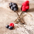 blueberries and raspberries on a metal spoon