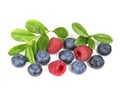 Blueberries and raspberry with a sprig with leaves Royalty Free Stock Photo