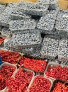 Blueberries and red ribes packed in plastic containers at food store. Boxes with fresh natural berries in freezer in shop. Fresh Royalty Free Stock Photo