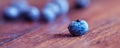 Blueberries Reduce DNA Damage, Which May Help Protect Against Aging and Cancer