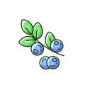 Blueberries RGB color icon