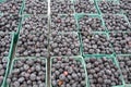 Blueberries For Sale at Farmer's Market Royalty Free Stock Photo