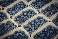 Blueberries for sale at food market - blueberry boxes