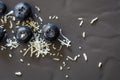 Blueberries and Shredded Coconut on Dark Slate Top View Royalty Free Stock Photo