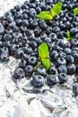 Blueberries on silver foil with water drops closeup. Ripe and juicy fresh picked bilberries Royalty Free Stock Photo