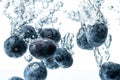 Blueberries sinking into water with air bubbles white background Royalty Free Stock Photo