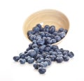 Blueberries spilling out of a bowl