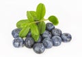 Blueberries with a sprig with leaves