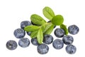 Blueberries with a sprig with leaves on white background