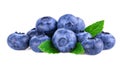 Blueberries. Stack of fresh blueberry with mint leaves isolated on white Royalty Free Stock Photo
