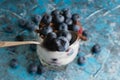 Blueberries in a teaspoon close-up and fancy delicious dessert with chocolate, yogurt and raspberry in a glass cup on a