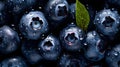 Overhead Shot of Blueberries with visible Water Drops. Close up.