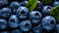 Overhead Shot of Blueberries with visible Water Drops. Close up.