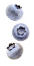 Blueberries three pieces falling, soaring, hanging, flying isolated on white background with clipping path. Set of parts. Full Royalty Free Stock Photo