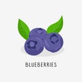 blueberries vector flat illustration, isolated on white background Royalty Free Stock Photo