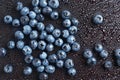 Blueberries with water drops
