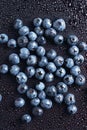 Blueberries with water drops