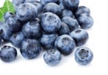 Blueberries on white Royalty Free Stock Photo