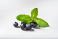 Blueberries on a white background with a sprig of fresh mint.
