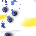 Blueberries on white background with watercolor splashes; creative layout with copy space;