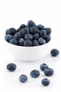 Blueberries and White Bowl