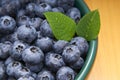 Blueberries from the wood in a bowl