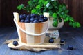 Blueberries in a wooden bucket
