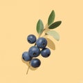 Blueberries On Yellow Background: A Tribute To Serge Najjar, Nicolas Bruno, And Mark Catesby