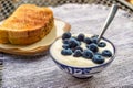 Blueberries with yoghourt Royalty Free Stock Photo