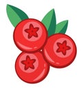 Cranberry wild berry jam icon vector illustration food vitamin tasty