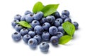 Blueberry Royalty Free Stock Photo