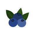 Set of fresh bright exotic blueberries isolated on white background. Royalty Free Stock Photo